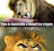 An Ice Cream For The Lion
