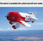 Cutest Aircraft Ever Made