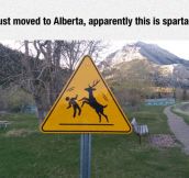 Things That You Only See In Canada