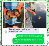 Found A Turtle