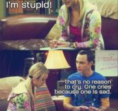 Thank You, Sheldon