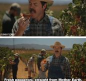 Nick Offerman Shows Off His Pizza Farm