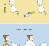 The Benefits Of Having A Cat