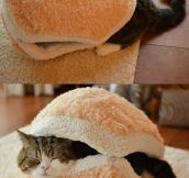 Epic Cat Burger Bed