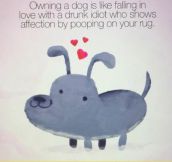 Owning A Dog