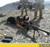Dog Goes To War