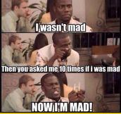 When People Ask If I’m Mad