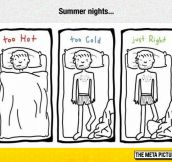 Summer Nights In A Nutshell