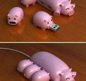 Piggy USB Hub
