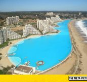 Largest Pool In The world