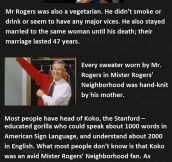 Things You Might Not Know About Mr. Rogers