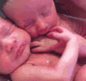 New Born Twins Hugging Each Other