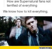 Years Of Supernatural Finally Pay Off