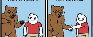 What To Do If A Bear Attacks You