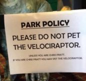 Park Policy