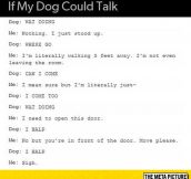 I Read This In The Dogs Voice From Up