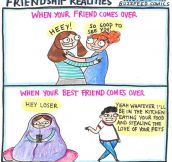 Friendship Realities