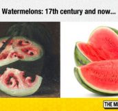 Wow, Watermelon Has Really Changed