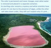 The Only Pink Lake In The World