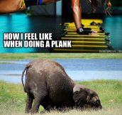 Every Time When Doing A Plank