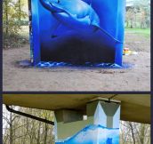 Perfect Shark Graffiti