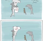 Sharks Rule