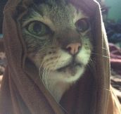 M’aiq Wishes You Well