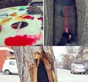 Clever Art Inside Tree Holes