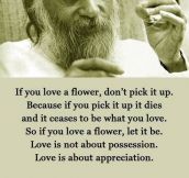 If You Really Love A Flower