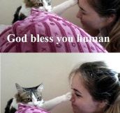 Holy Cat Will Save Us All