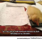 Perfect Excuse For Not Doing Your Math Homework