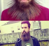 Who Knew You Could Do All This With A Beard?