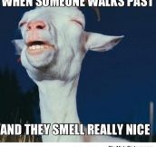 That Delightful Smell