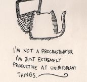 Not A Procrastinator