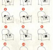 The Many Reading Positions
