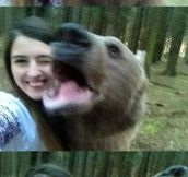 Bear Selfies In Russia Because Why Not?