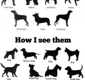 How I See Dogs