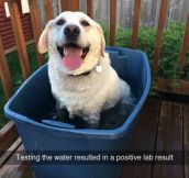 Testing The Water