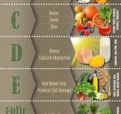 What Each Vitamin Is Good For