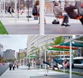 Bus Stops In Montreal
