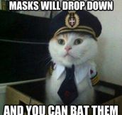 Captain Kitty Gives The Right Instructions