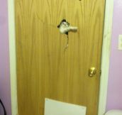 Open The Door, Heeere’s Kitty