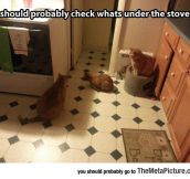 The Stove Mystery