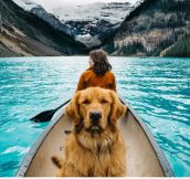 Canadian Canoeing Adventure With Dog