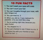 10 Fun Facts You Probably Didn’t Know