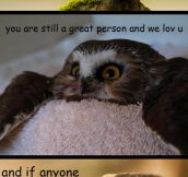 Some Innocent Advice From Your Friendly Owl
