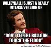 Truth About Volleyball