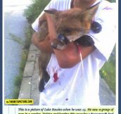 The Child Who Saved A Fox