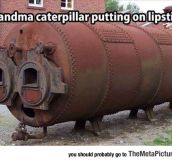 Grandma Caterpillar