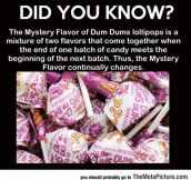 Mystery Flavor Of Dum Dums